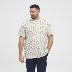 North Latitude T-Shirt - Ara Offwhite